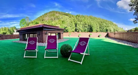 Hotel Piotr Spa&Wellness Отели в г. Валбжих