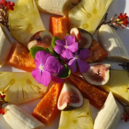 Le Coconut Lodge