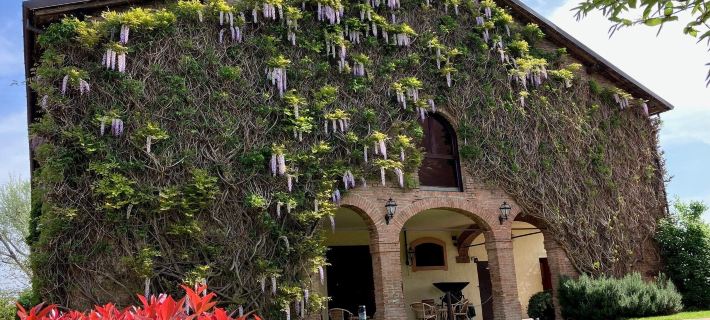 Agriturismo la Lupa Hotels in Modena