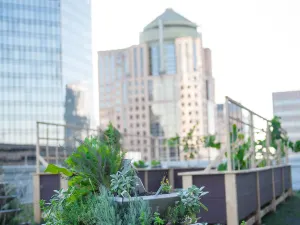 The Ritz-Carlton, Charlotte