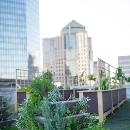 The Ritz-Carlton, Charlotte