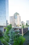The Ritz-Carlton, Charlotte Hotels near Bojangles Coliseum