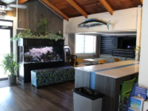 Village Inn Destin Hotels in Destin