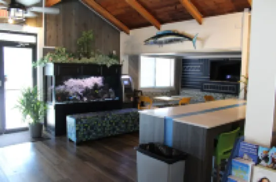 Village Inn Destin Hotels in Destin