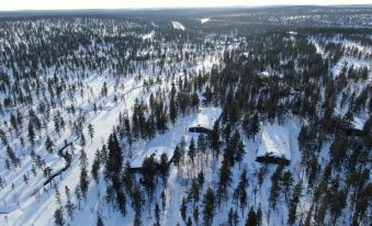 Kuukkeli Log Houses Aurora Resort