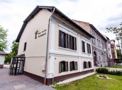 Vén Diófa De Lux Panzió