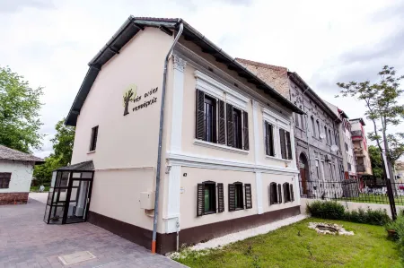 Vén Diófa De Lux Panzió