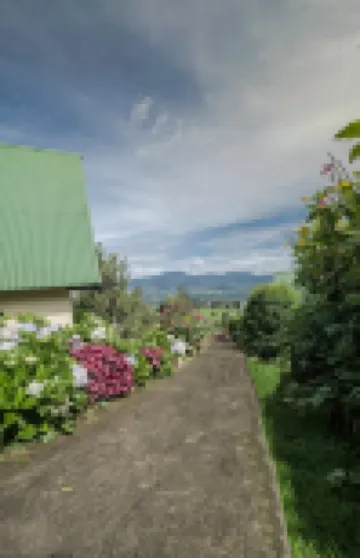 Hortensias Chalets Vara Blanca