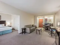 Wingate by Wyndham New Braunfels Hotels in Comal County