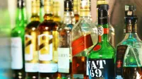 Hotel Rajavihar - bar