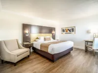 Little Inn by the Bay Newport Beach Hotel Hotels near Newport Beach