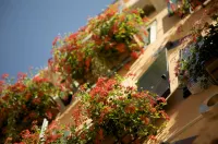 Hotel Al Codega - Pet-friendly