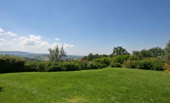 Podere Il Pino
