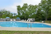 Blue Dolphin Inn - Pools