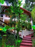 The Falls at Manuel Antonio