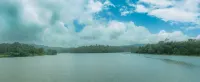 Ama Plantation Trails, Chikmagalur - Pet friendly