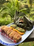 BioHotel Ecohouse فنادق في Guarne