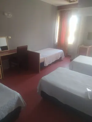 Surucu Hoteli Hotels in Milas