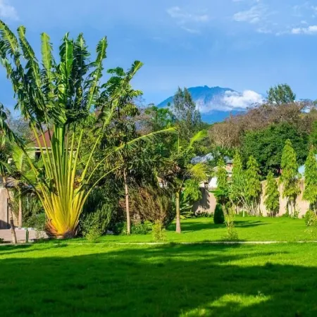 Elanacha Hotel Hotels in Arumeru