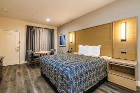 Palace Inn Blue IAH East