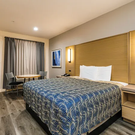 Palace Inn Blue IAH East