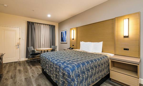 Palace Inn Blue IAH East
