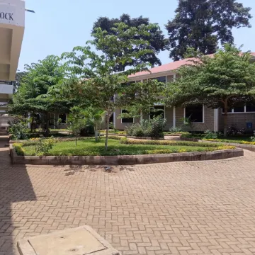 Kilimanjaro Eco Hostel