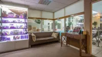 Norton Park Hotel, Spa & Manor House - Winchester - Spa