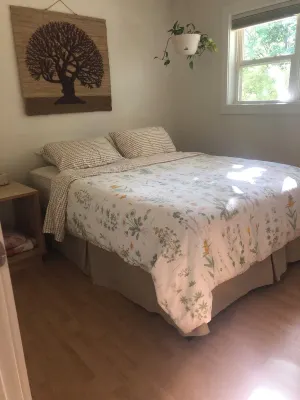 Charming 3-bedroom house in Fayetteville Hotels near Donald W. Reynolds Razorback Stadium