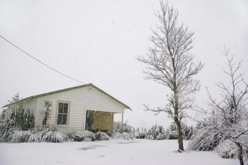 Ohakune ski house and summer Bach Hotels in Ohakune