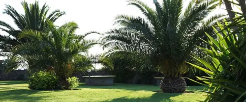 Apartments with pool and garden a short distance from the beach. Hotels in Scarlino