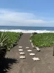 Un lugar para disfrutar con la familia.  Lejos del bullicio de la ciudad.