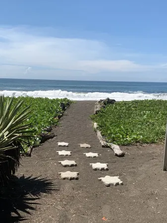 Un lugar para disfrutar con la familia.  Lejos del bullicio de la ciudad. Отели в г. Monterrico