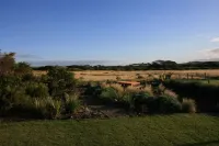 Shack by the Sea Middleton Hotels in Middleton