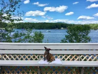 Waterfront House on Winnipesaukee w Private Dock , Sleeps 11 & Dogs Welcome!