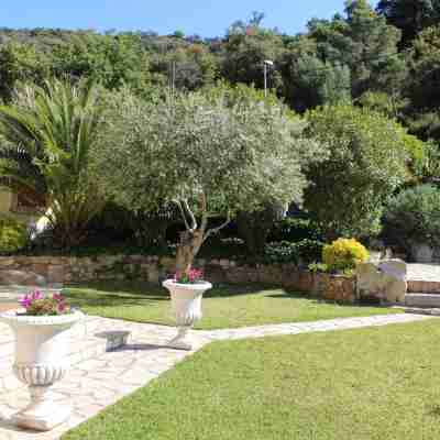 Beautiful house surrounded by an idyllic garden with salt water pool. Hotel Exterior