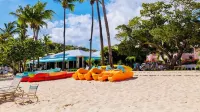Beautiful Ocean View 2 Bed 2 Bath Condo above the Beach at Cowpet Bay East - Beach