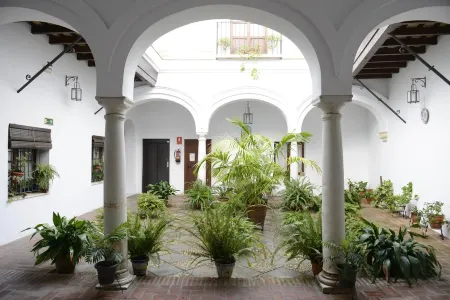 PALACIO LAS PALOMAS HOUSE. Apt. Centro 600m. Beach with garage. SPECIAL OFFER 2018 Отели в г. Санлукар-де-Баррамеда