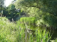 Exclusive vacation apartment No.1