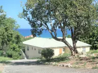 Escape the Cold During the Holidays & Stay at Conrads! A Tropical Getaway!