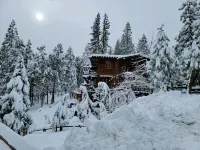 Ultimate family retreat in the Woods!