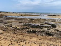 Highlands Holiday House in the heart of Coastal Brora Hotels in Brora