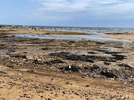 Highlands Holiday House in the heart of Coastal Brora Отели рядом с достопримечательностью «Sea Breezes»