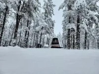 Williams NEW in the Pines - Grand Canyon Getaway!