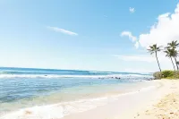 Prince Kuhio Condo  - Steps to the beach!