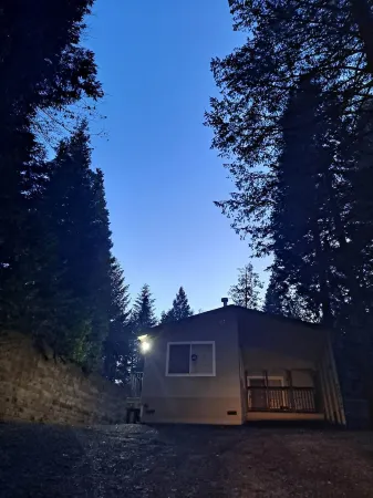 The Alta House/Sierra Woods