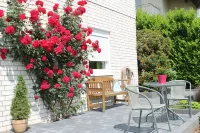 Relaxation near Cologne in the middle of nature Hotels in Rosrath