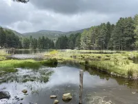 New air-conditioned T2/3 MINI loft near the paradisiacal beaches of the South Shore