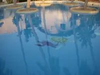 A pool and a beach… What else do you need? Check out my REVIEWS! GREEN!