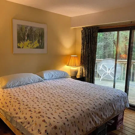 Lake side cottage w- sand beach. 13 acres-forest, steams & waterfalls to explore